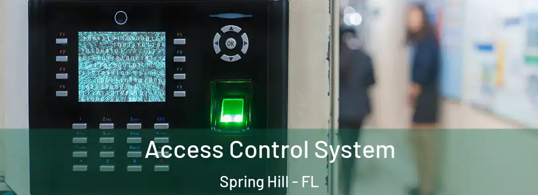Access Control System Spring Hill - FL