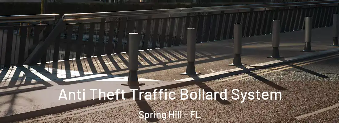  Anti Theft Traffic Bollard System Spring Hill - FL