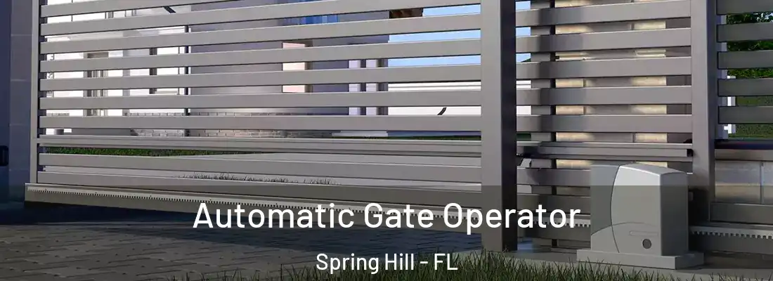 Automatic Gate Operator Spring Hill - FL