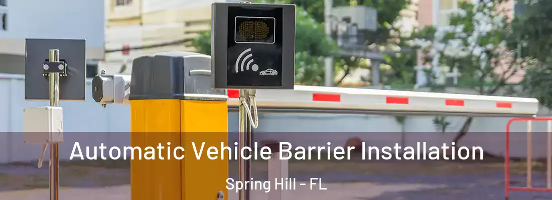 Automatic Vehicle Barrier Installation Spring Hill - FL