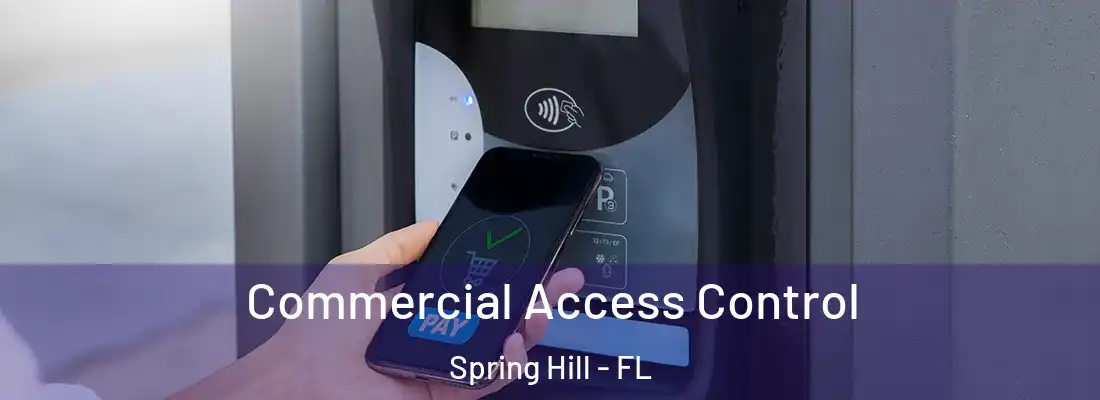 Commercial Access Control Spring Hill - FL