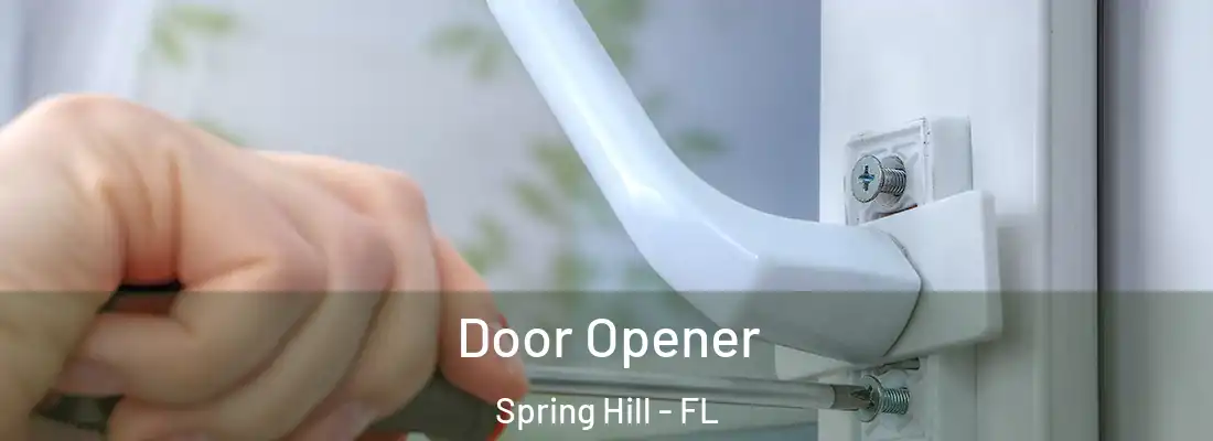  Door Opener Spring Hill - FL