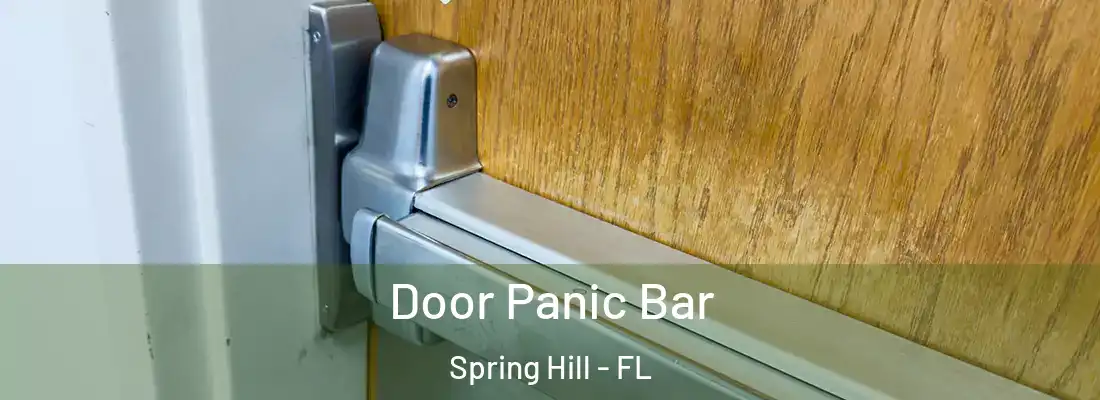  Door Panic Bar Spring Hill - FL