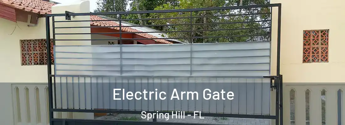 Electric Arm Gate Spring Hill - FL