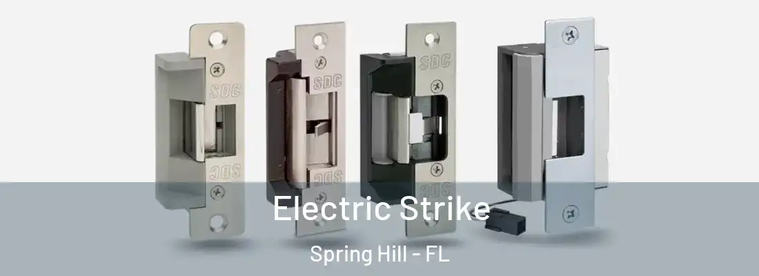  Electric Strike Spring Hill - FL