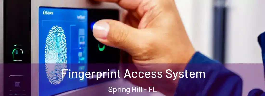 Fingerprint Access System Spring Hill - FL