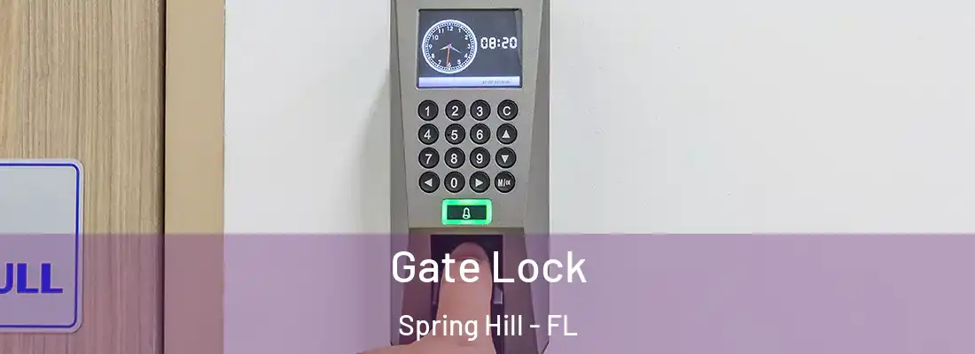  Gate Lock Spring Hill - FL