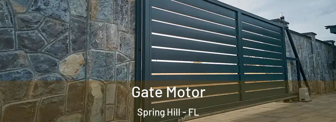  Gate Motor Spring Hill - FL