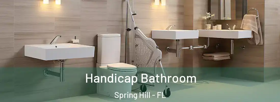 Handicap Bathroom Spring Hill - FL