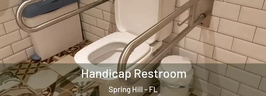 Handicap Restroom Spring Hill - FL