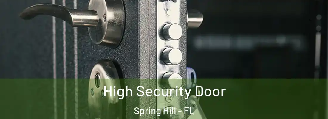  High Security Door Spring Hill - FL