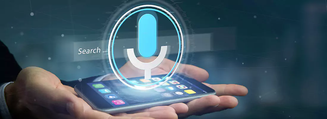 Enhance Security with Voice Recognition Access Systems in Spring Hill, FL