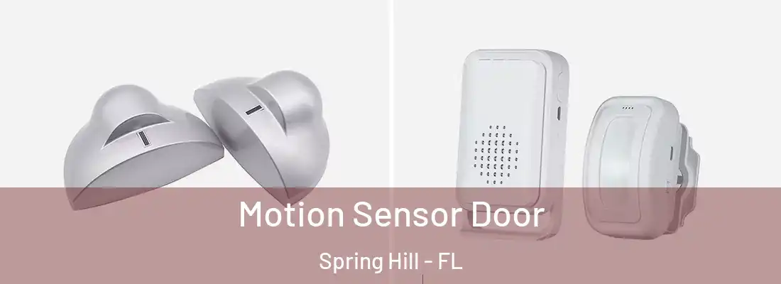  Motion Sensor Door Spring Hill - FL