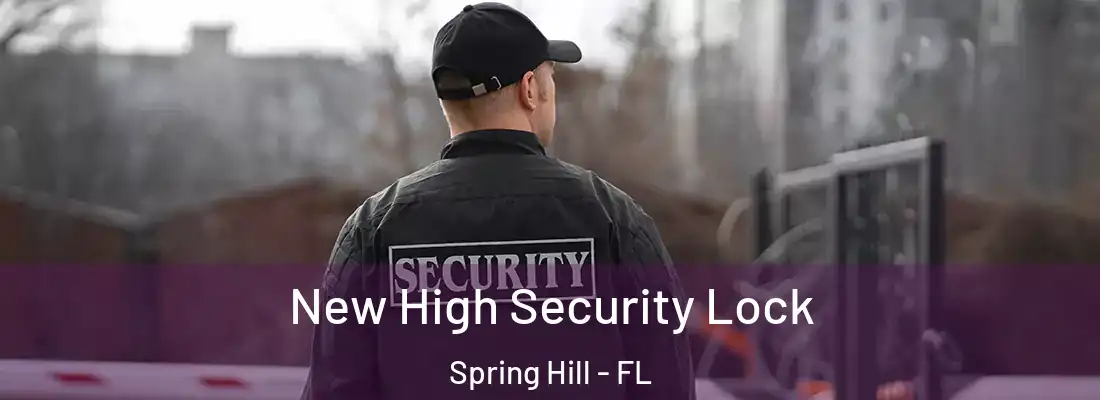  New High Security Lock Spring Hill - FL