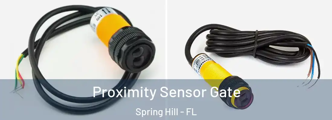 Proximity Sensor Gate Spring Hill - FL