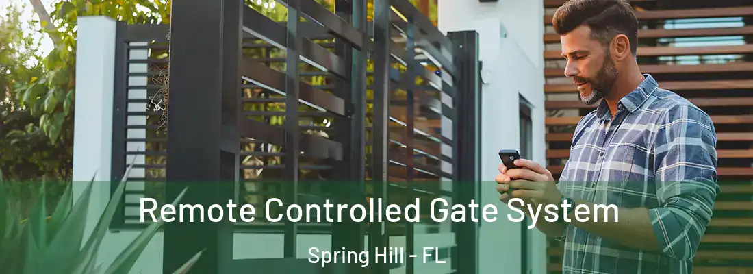 Remote Controlled Gate System Spring Hill - FL