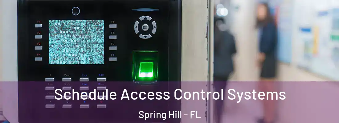 Schedule Access Control Systems Spring Hill - FL