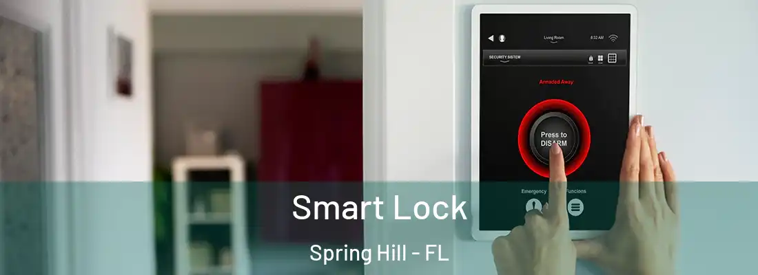  Smart Lock Spring Hill - FL