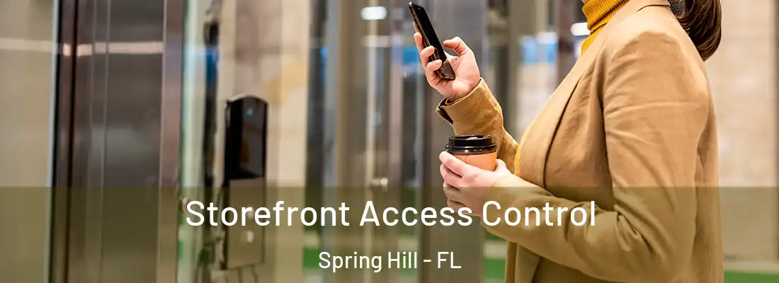Storefront Access Control Spring Hill - FL