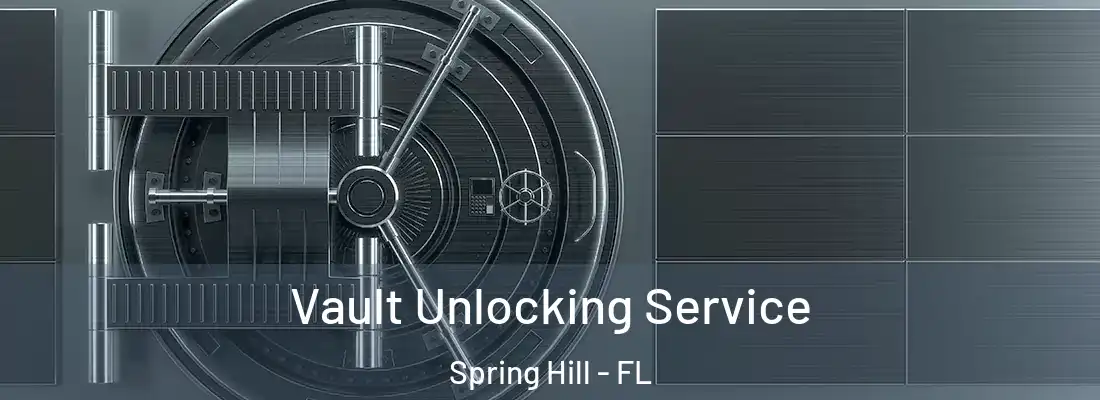  Vault Unlocking Service Spring Hill - FL